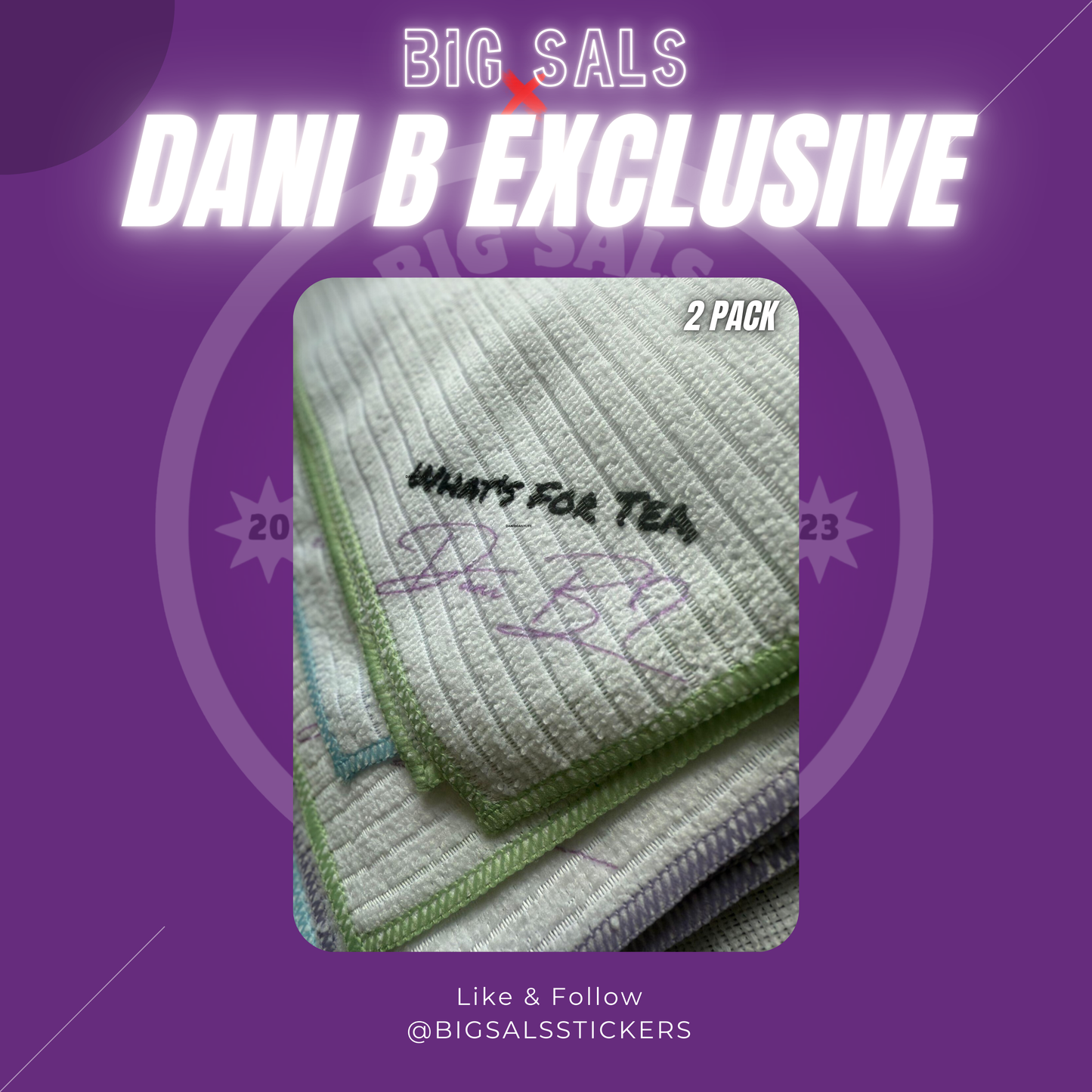 🟣 Dani B Dishcloth (Microfibre, 2-Pack)