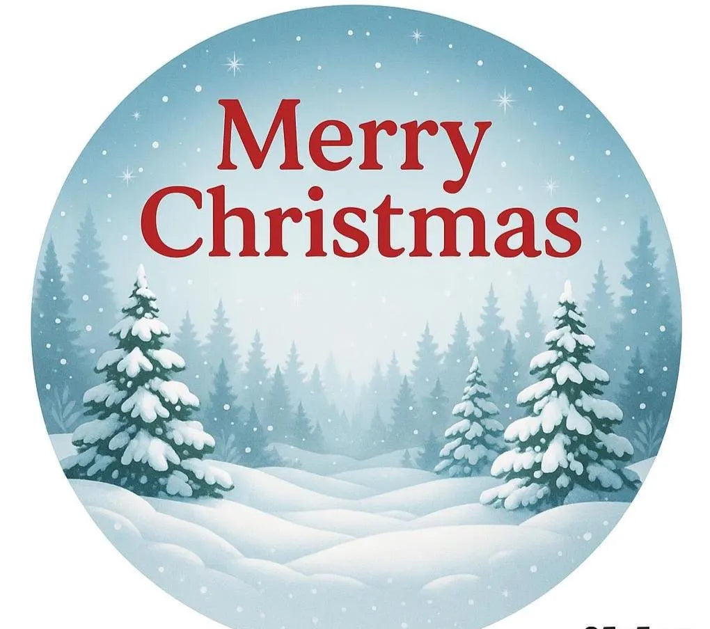 Christmas Edible Cake Toppers 9